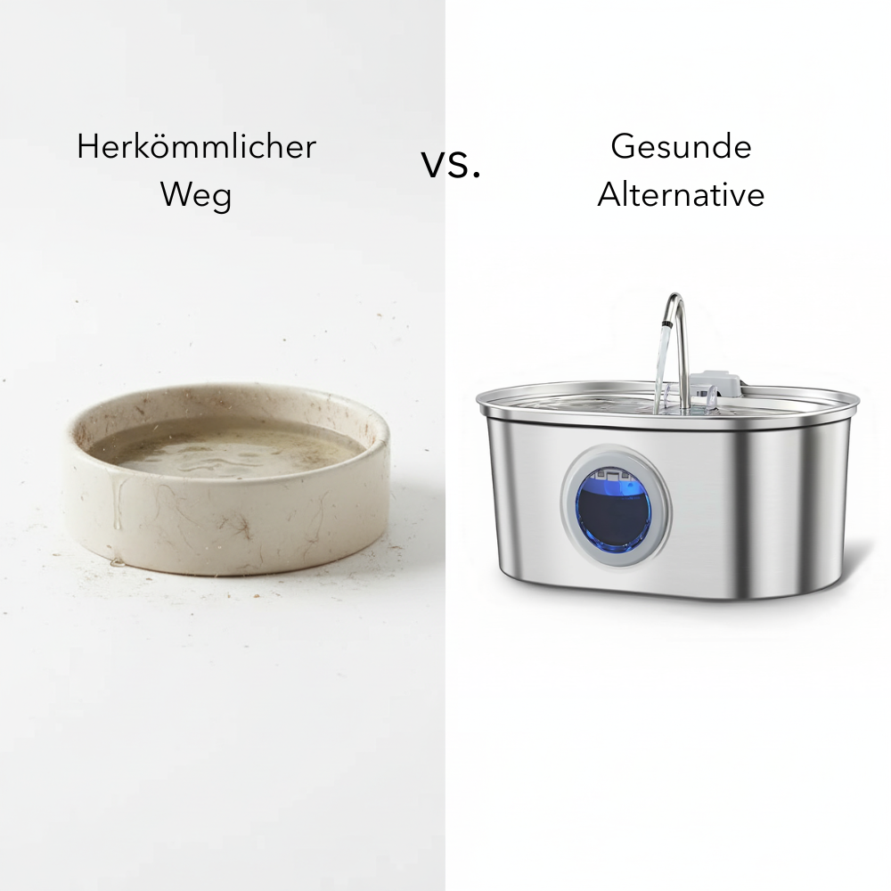 PurrFlow™ Pro – Premium Trinkbrunnen für Haustiere 