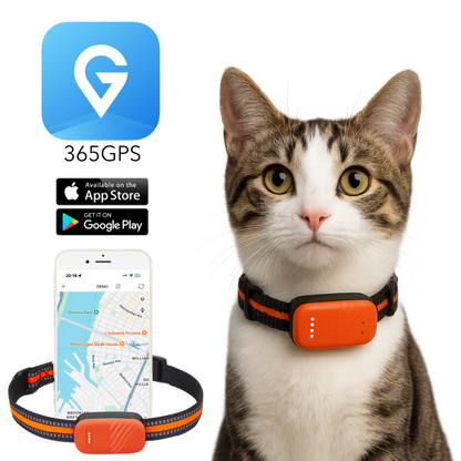 PawTrack™ Pro – Intelligenter GPS-Haustier-Tracker 
