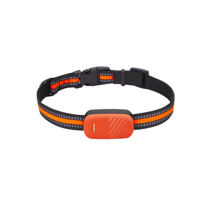 PawTrack™ Pro – Intelligenter GPS-Haustier-Tracker 