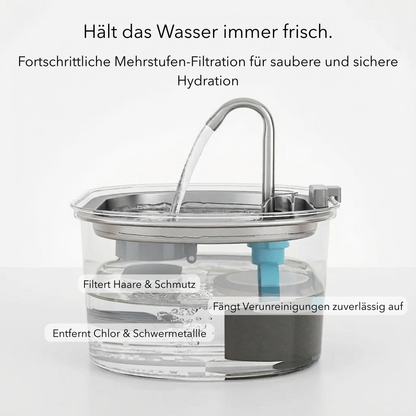 PurrFlow™ Pro – Premium Trinkbrunnen für Haustiere 