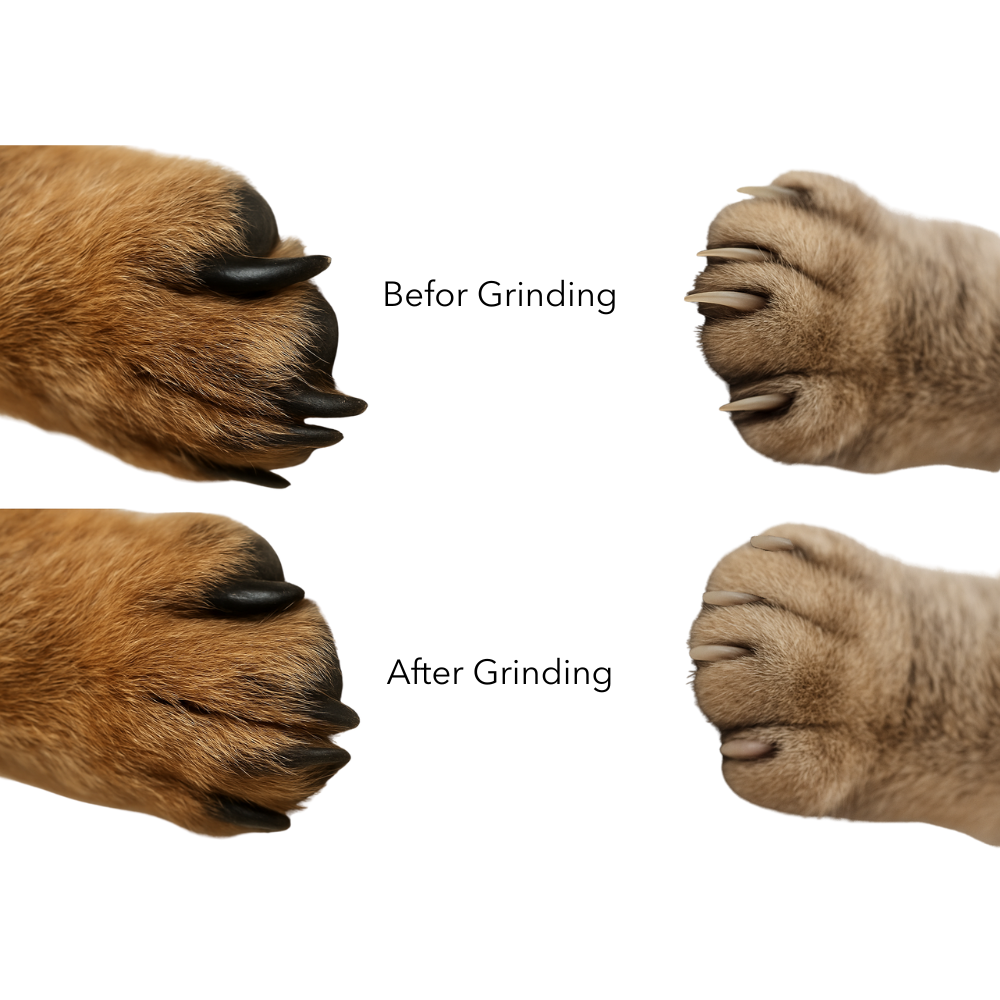 ClawCare™ Pro – Sicherer Präzisions-Nageltrimmer 